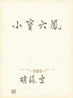 小宝六凤