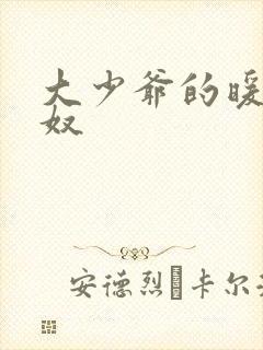 大少爷的暖床小奴