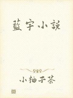 蓝宇小说