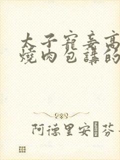 太子宠妾高肉红烧肉包讲的什么