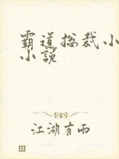 霸道总裁小娇妻小说