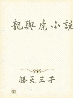 龙与虎小说