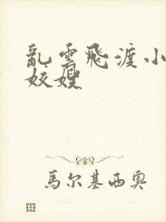 乱云飞渡小说之姣嫂