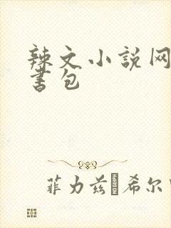 辣文小说网第二书包