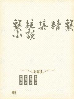 系统集精系统 小说