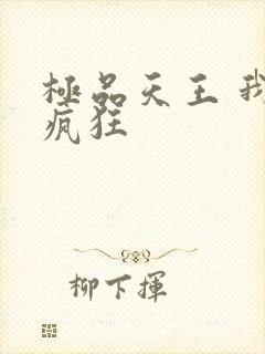 极品天王 我本疯狂