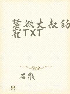 禁欲大叔的心尖宠TXT