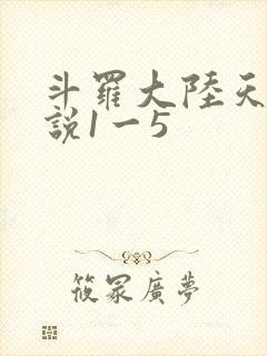 斗罗大陆天狂传说1一5