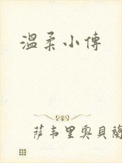 温柔小传