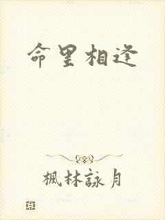命里相逢