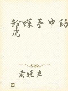 粉蝶手中的纸老虎