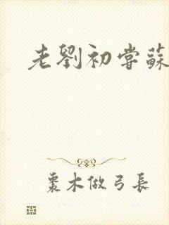 老刘初尝苏荷媳