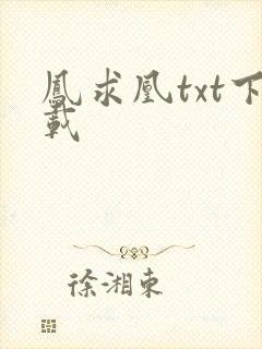 凤求凰txt下载