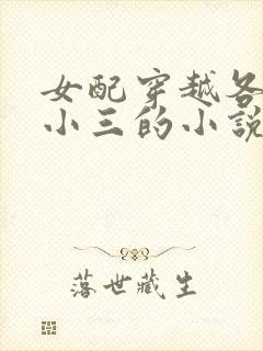 女配穿越各个做小三的小说