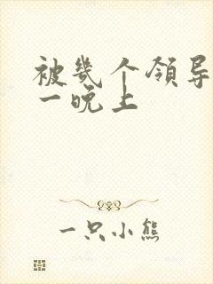 被几个领导玩弄一晚上