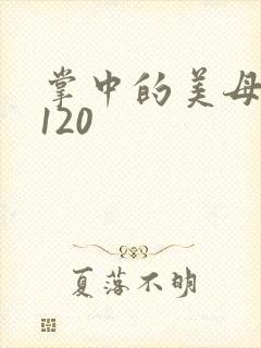 掌中的美母版主120