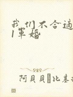 我们不合适1v1军婚