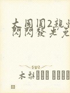 大团圆2亲情会闪闪发光免费