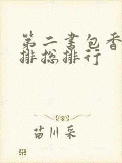 第二书包香辣肉排总排行