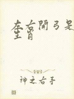 左右开弓是什么生肖