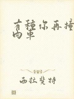 有种你再撞一下肉车