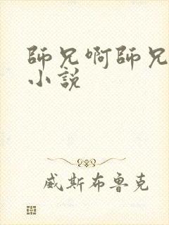 师兄啊师兄原著小说