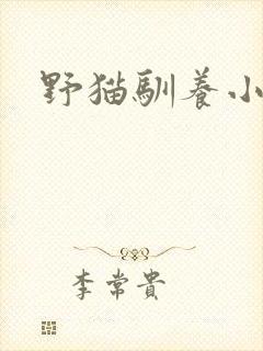 野猫驯养小说