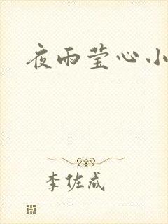 夜雨莹心小说