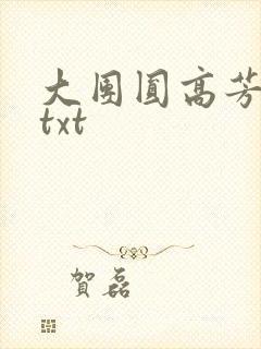 大团圆高芳小说txt