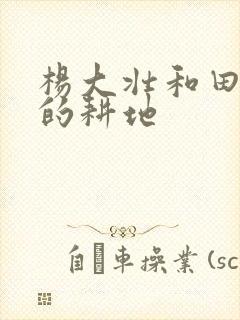 杨大壮和田桂花的耕地