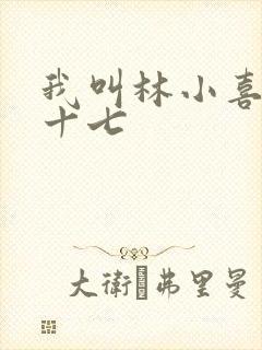 我叫林小喜今年十七