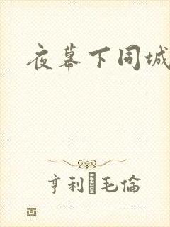 夜幕下同城网