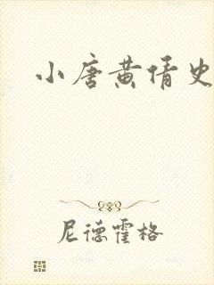小唐黄倩史