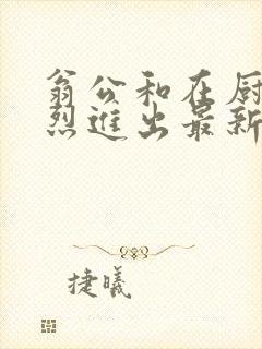 翁公和在厨房猛烈进出最新章节