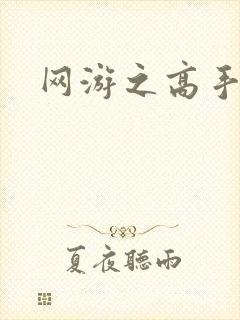 网游之高手寂寞