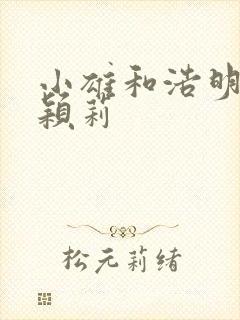 小雄和浩明夹击颖莉