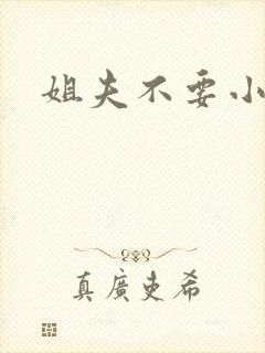 姐夫不要小说