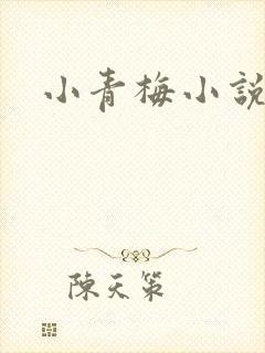 小青梅小说