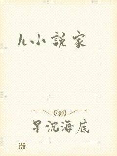 h小说家