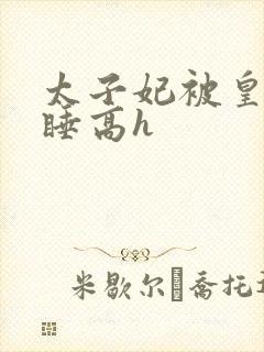 太子妃被皇上强睡高h