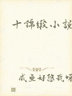十锦缎小说