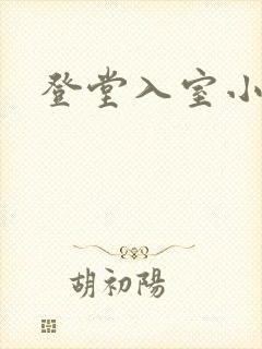 登堂入室小说