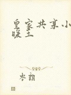 皇家共享小公主暖玉