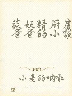 苏妖精厨房爹爹爸爸的小说