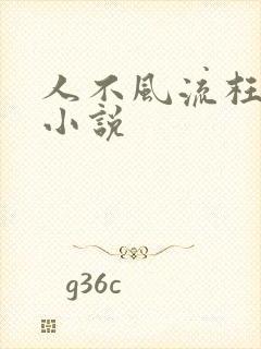 人不风流枉少年小说