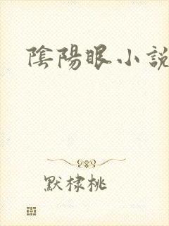 阴阳眼小说