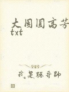 大团圆高芳小说txt