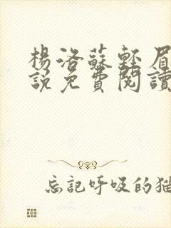 杨洛苏轻眉笔小说免费阅读