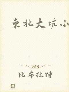 东北大坑小说