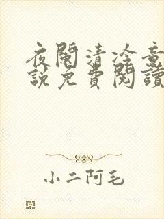 夜阑清冷意欢小说免费阅读